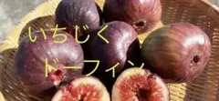 jinrack様 リクエスト 2点 まとめ商品