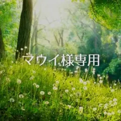 ＊マウイ様専用＊タチカズラ & ヒカゲノカズラ