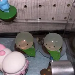 わらびもち ガチャガチャ