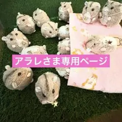 アラレさま専用d.lジャンハム