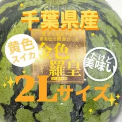 5013 匿名発送！千葉県産 金色羅皇スイカ 高糖度 9.123kg1玉 - メルカリ