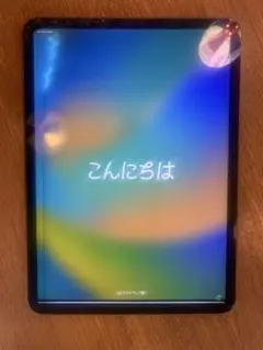 Apple iPad Pro (11インチ) 256GB スペースグレー