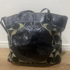 Item thumbnail for item 9d9571cc-40b0-4e5b-a2e5-d9349b2cb88e