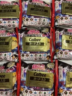 Calbee プロ野球スピリッツA プロスピ　カード　プロ野球チップス