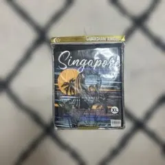 Item thumbnail for item 7f3e0e27-dc21-49a5-8d1d-ccfdbfc38ce3