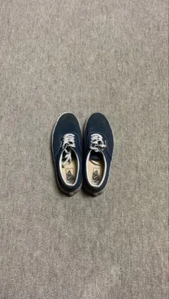 Item thumbnail for item 60e526b1-8d05-45a4-9107-37328b6574d4