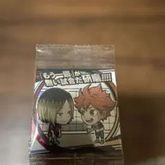 ハイキュー　ウエハース　日向　研磨SR05