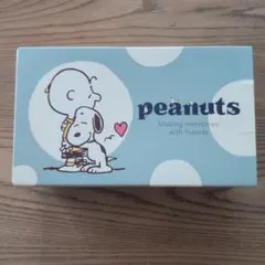 PEANUTS 不織布プリーツマスク 23枚入のサムネイル
