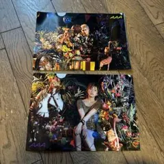 AAA クリアファイル