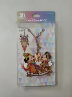 東京ディズニーリゾート ミッキー・ミニー キーホルダー