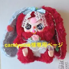 candypink様専用ページ•*¨*•.¸♬︎