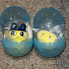 たまごっち カラフルマルチチャーム カプセルフロッキーズ まめっち　2セット