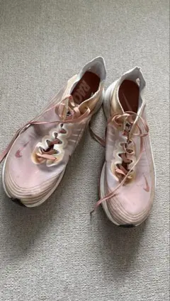 Nike ランニングシューズ zoom fly sp 28.0