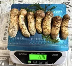 最終お値下げ！600g クール便着払い⭐︎信州産 松茸 長野県産 - メルカリ