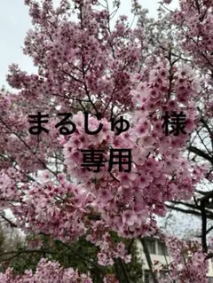 まるじゅ　様　専用