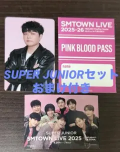 SMTOWN スーパージュニア シンドン トレカ ステッカー 特典 セット
