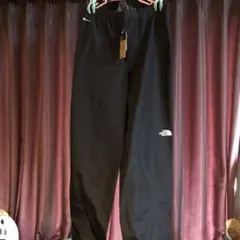 Item thumbnail for item 24a96c2f-4468-4fb3-9b2a-5da5b33a0a8d