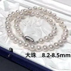 【テリ強 大珠】アコヤ真珠ネックレス　8.2-8.5mm 44.5cm
