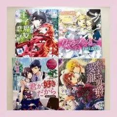 【組替えOK・売り切り特価】ティーンズラブ TL 小説 4冊セット No.6