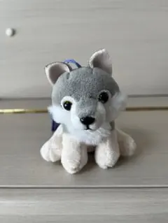 もふっとオオカミ　ミステリアス　ハンター　VMC ※注釈有り