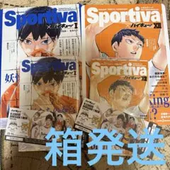 ハイキュー ショーセツバン 1巻 12巻 影山飛雄 ビジュアルボード