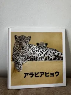 2026年最新】サウジアラビア館の人気アイテム - メルカリ