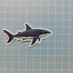F サメ　　シャーク　Shark　防水ステッカー　ステッカー　シール