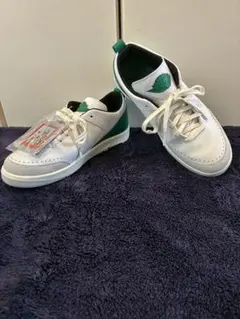 NIKE エアジョーダン2 レトロ ロー SE シロ グリーン 26 1 3 4