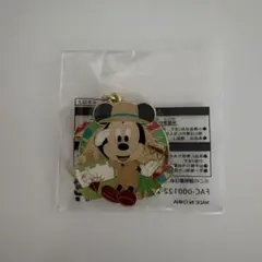 ディズニーリゾート　ジャングルカーニバル