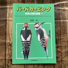 鳥類雕刻 野鳥設計圖集 3