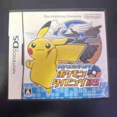 DS ポケモンタイピング a83