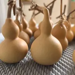 週末限定【美品】ミニひょうたん　DIY　工作素材　池坊　小原流　草月流　いけばな