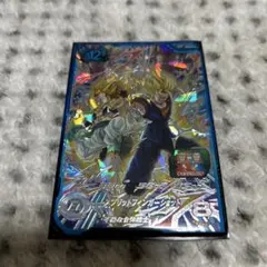 UGM9-SEC2 ベジット