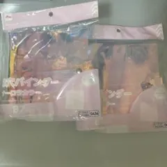 【即日発送】ダイソー　B7 3穴バインダー　オーロラバインダー　2つ