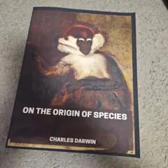 Item thumbnail for item 86657bed-7228-4725-8edf-6aab54303292