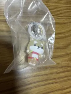 まめちぃ　JOCHUM めじるし