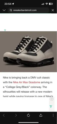 NIKE AIR MAX GOADOME ナイキ　ゴアドーム　エアマックス　27のサムネイル