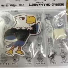 あつまれ どうぶつの森 キャラマグネッツ アポロ