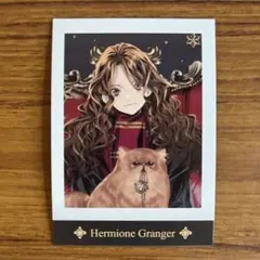 ハリーポッター ぱしゃこれ ハーマイオニー・グレンジャー