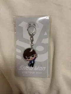 ☆*☆様 SnowMan 渡辺翔太 すのチル アクリルキーホルダー