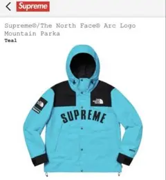 Supreme The North Face Arc Logo mountain