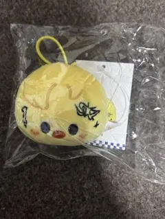 straykids スキズ フィリックス KARMA SKZOO ネームタグ