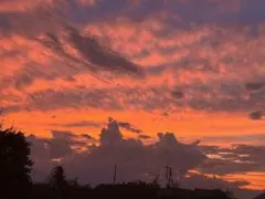 やっちゃん様専用