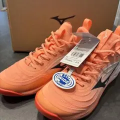 ⭐︎ MIZUNO ミズノエナジー ウエーブモーメンタムエリート 28cm