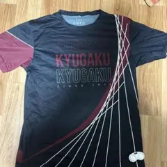 Item thumbnail for item 09c10577-902c-4daa-949a-4ce0df4e67e1