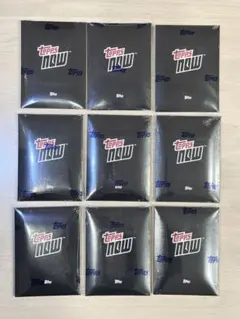 Item thumbnail for item 91b01686-306e-49e2-a3ef-9edd9eddb8c3