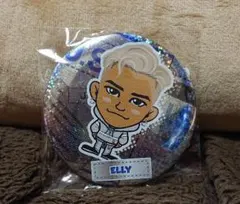 【最終値下】三代目J.S.B  PERFECT LIVE 缶バッチ ELLY