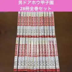 【全巻初版！男どアホウ甲子園 文庫版 全18巻セット 水島新司 佐々木守】 男どアホウ甲子園 全18巻セット 佐々木守 水島新司 秋田文庫 - メルカリ