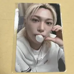 fansヨントントレカ フィリックス