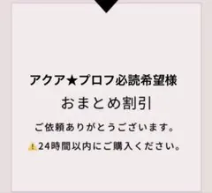 アクア★プロフ必読希望様 リクエスト 2点 まとめ商品